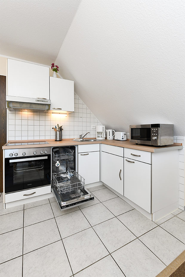 Apartment „Memmert“ - Wohn- und Schlafraum mit integriertem Küchenbereich