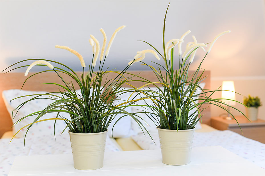 Apartment „Wangerooge“ - Wohn- und Schlafraum mit integriertem Küchenbereich