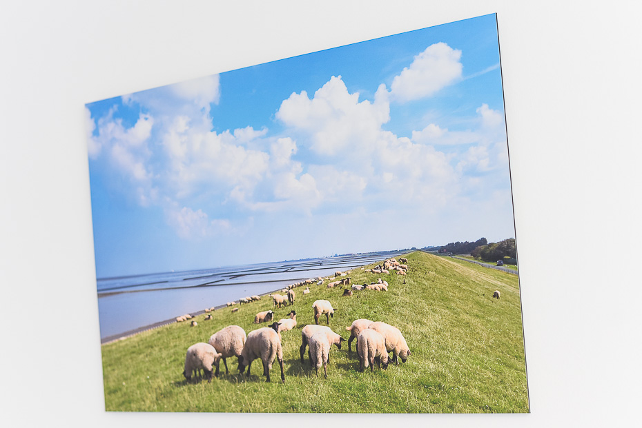 Ferienhaus „Fries am Yachthafen“ - Schlafzimmer 2/Kinderzimmer