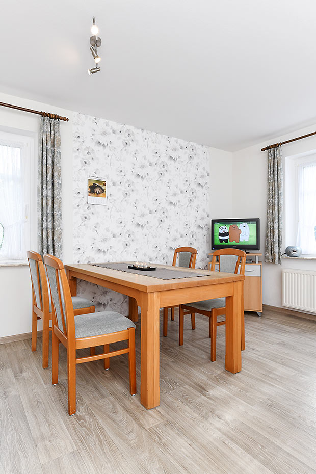 Ferienwohnung „Unten“ - Wohnzimmer mit integriertem Küchenbereich