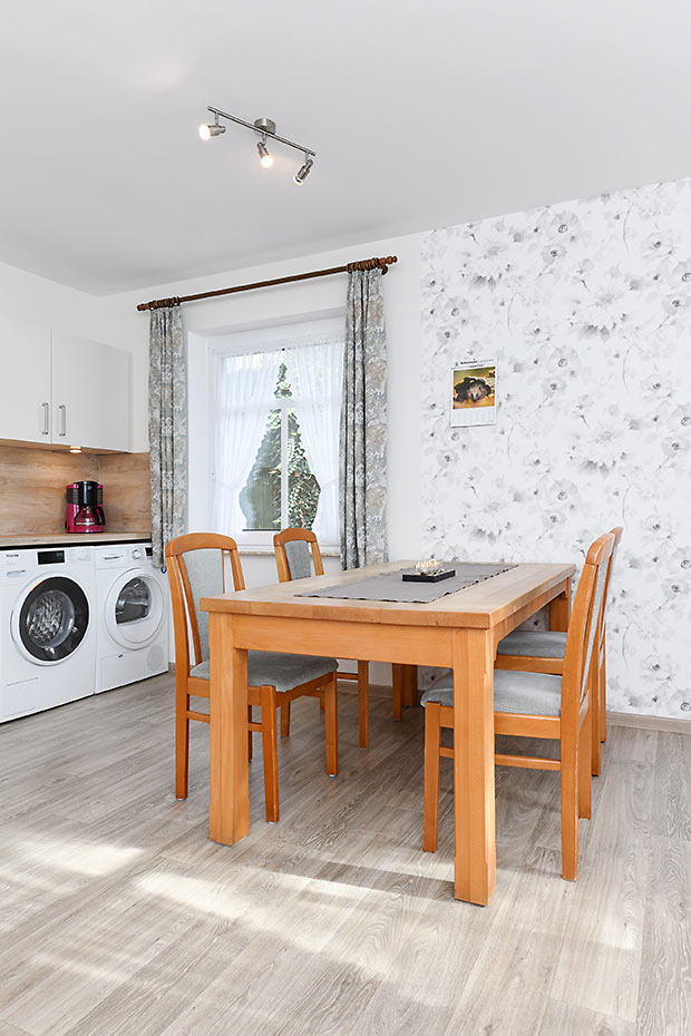 Ferienwohnung „Unten“ - Wohnzimmer mit integriertem Küchenbereich