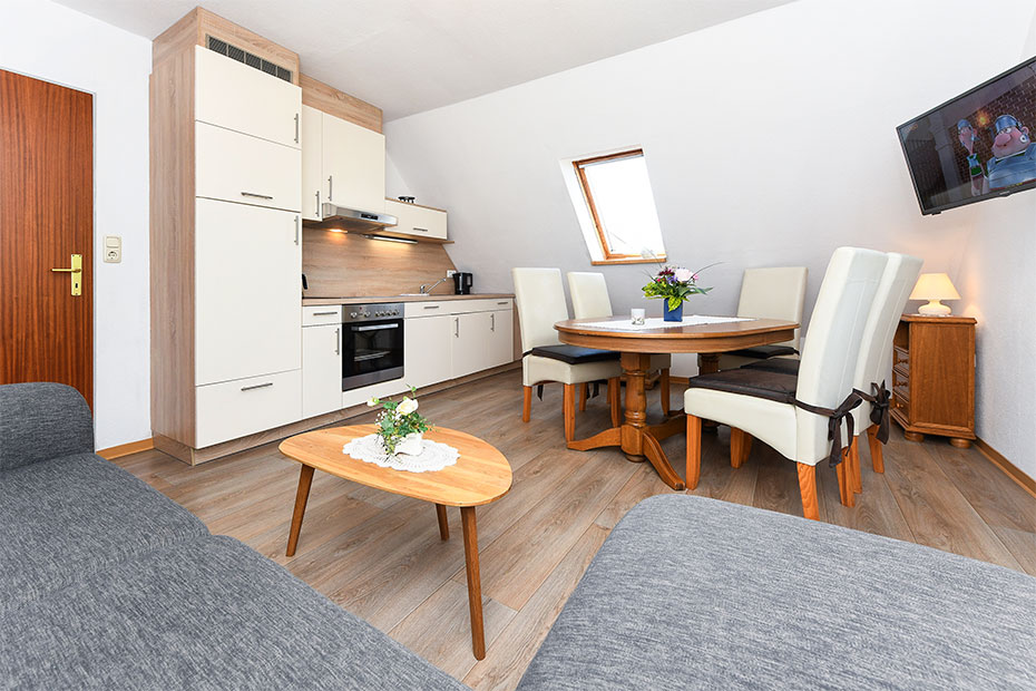 Ferienwohnung „Elsternest“ - Wohnzimmer mit integriertem Küchenbereich