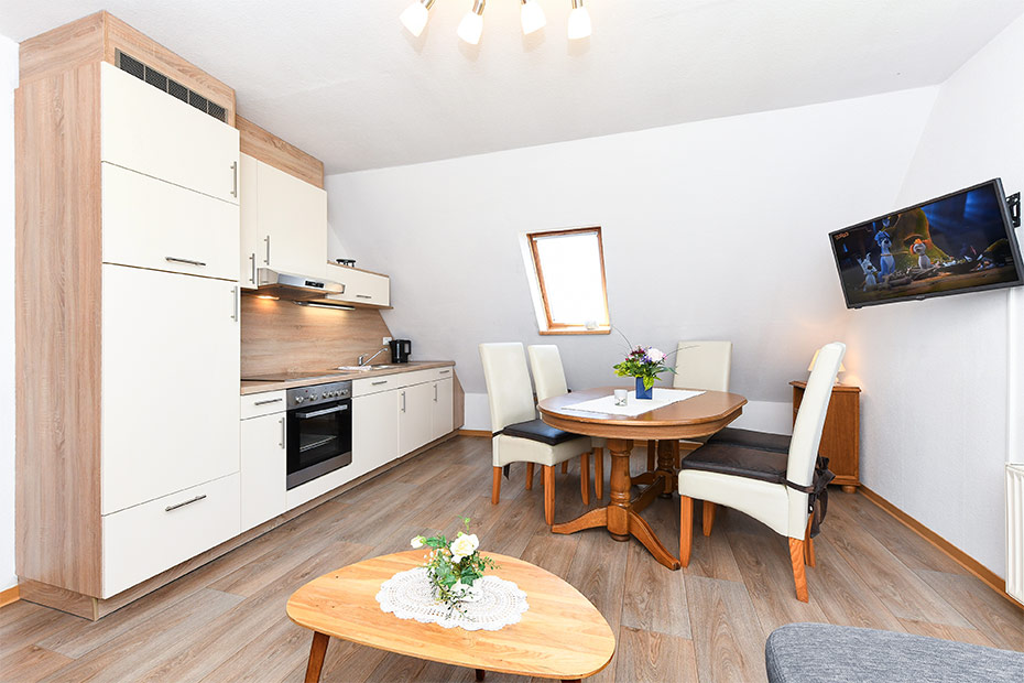 Ferienwohnung „Elsternest“ - Wohnzimmer mit integriertem Küchenbereich