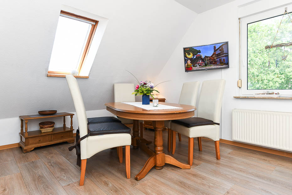 Ferienwohnung „Elsternest“ - Wohnzimmer mit integriertem Küchenbereich