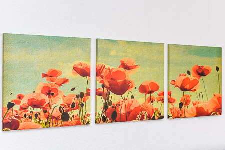 Ferienwohnung „Kiebitznest“ - Wohnzimmer mit integriertem Küchenbereich