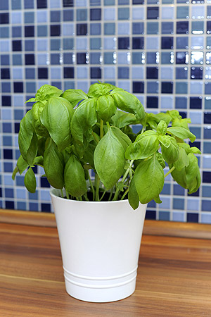 Ferienwohnung „Ebbe“ - Küche