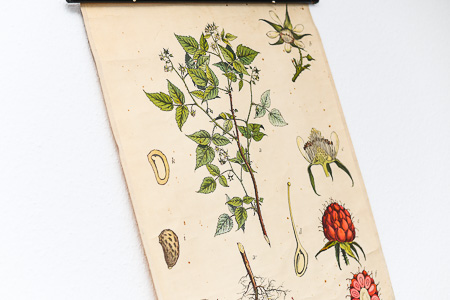 Ferienwohnung „Flut“ - Wohnzimmer mit Essbereich