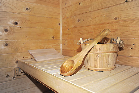 Ferienhaus „Fine“ - Sauna mit Dusche und WC im Backhaus im Garten