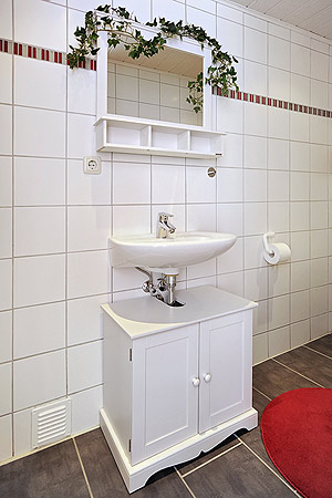 Ferienhaus „Fine“ - Sauna mit Dusche und WC im Backhaus im Garten