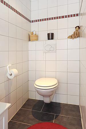 Ferienhaus „Fine“ - Sauna mit Dusche und WC im Backhaus im Garten