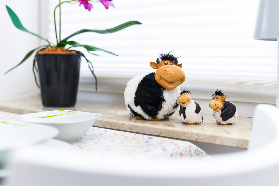 Ferienhaus „Moorgeist“ - Küche