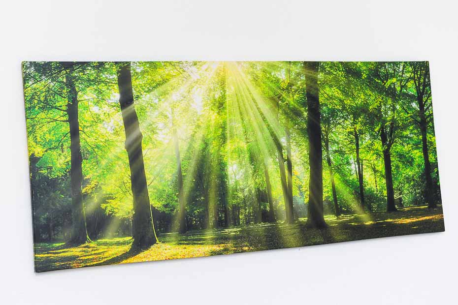 Ferienhaus „Moorgeist“ - Wohnzimmer