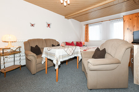 Apartment - Wohn- und Schlafraum