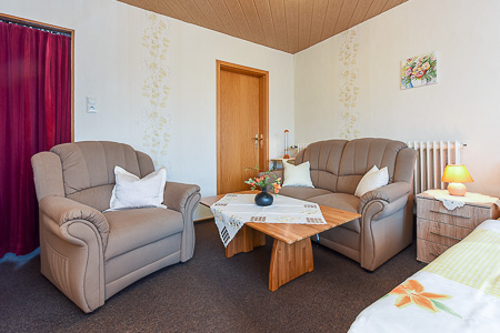 Apartment - Wohn- und Schlafraum