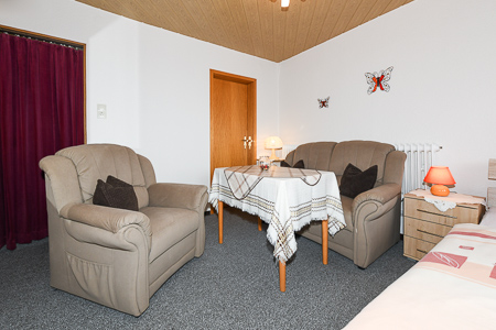 Apartment - Wohn- und Schlafraum