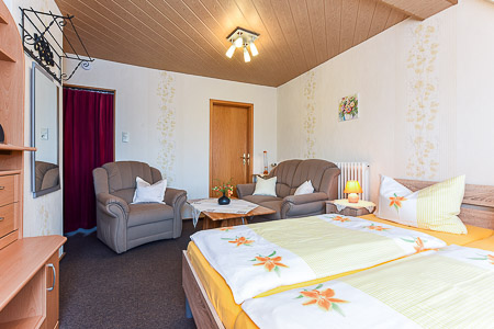 Apartment - Wohn- und Schlafraum