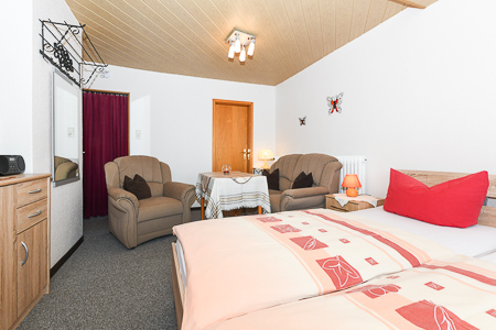 Apartment - Wohn- und Schlafraum