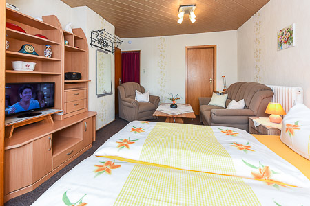 Apartment - Wohn- und Schlafraum