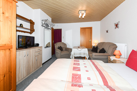 Apartment - Wohn- und Schlafraum