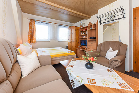 Apartment - Wohn- und Schlafraum