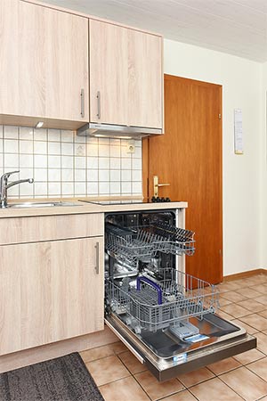 Ferienwohnung klein - Wohnzimmer mit integriertem Küchenbereich