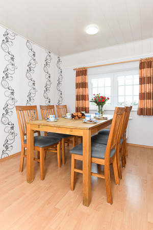 Ferienwohnung V - Wohnzimmer mit integriertem Küchenbereich