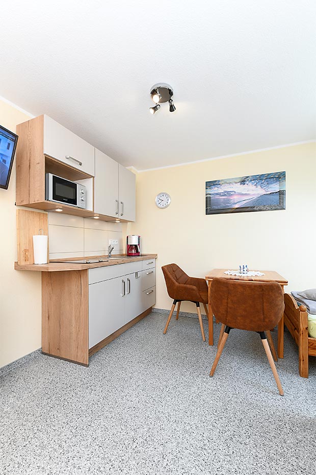 Apartment - Wohn- und Schlafraum mit integriertem Küchenbereich