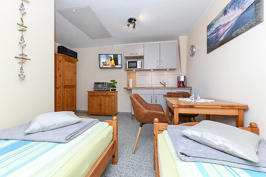 Apartment - Wohn- und Schlafraum mit integriertem Küchenbereich