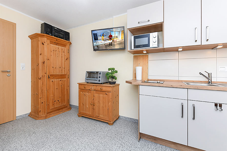 Apartment - Wohn- und Schlafraum mit integriertem Küchenbereich