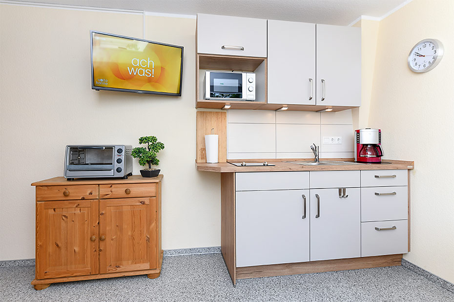 Apartment - Wohn- und Schlafraum mit integriertem Küchenbereich