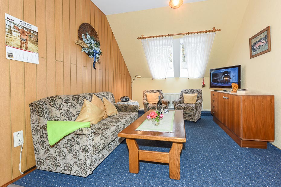 Ferienwohnung „Deichblick“ - Wohnraum mit integrierter Küche