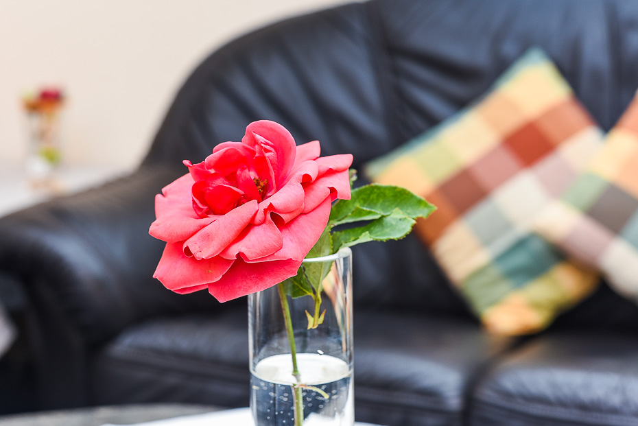 Ferienwohnung „Landblick“ - Wohnraum mit integrierter Küche