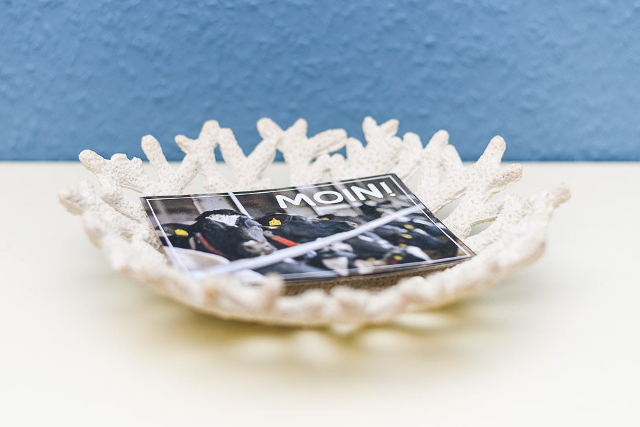 Ferienwohnung „Gänseblümchen“ - Wohnraum mit integrierter Küche