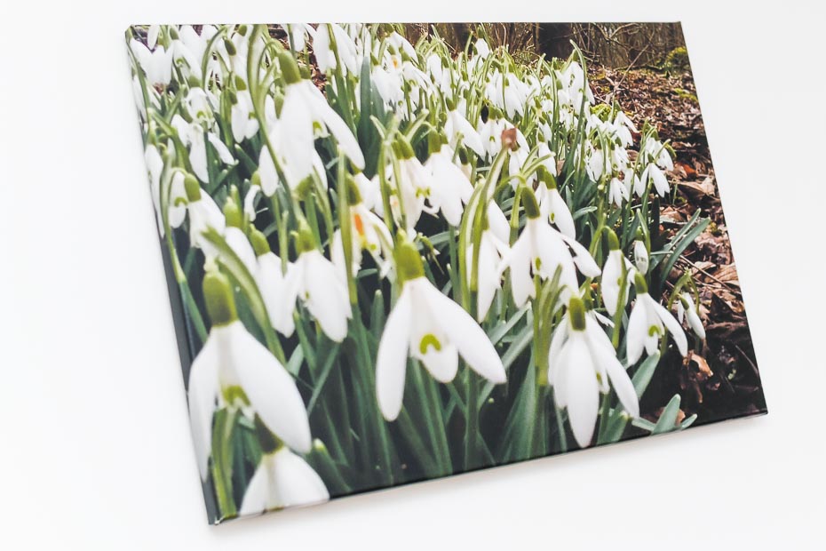 Ferienwohnung „Osthörn“ - Schlafzimmer