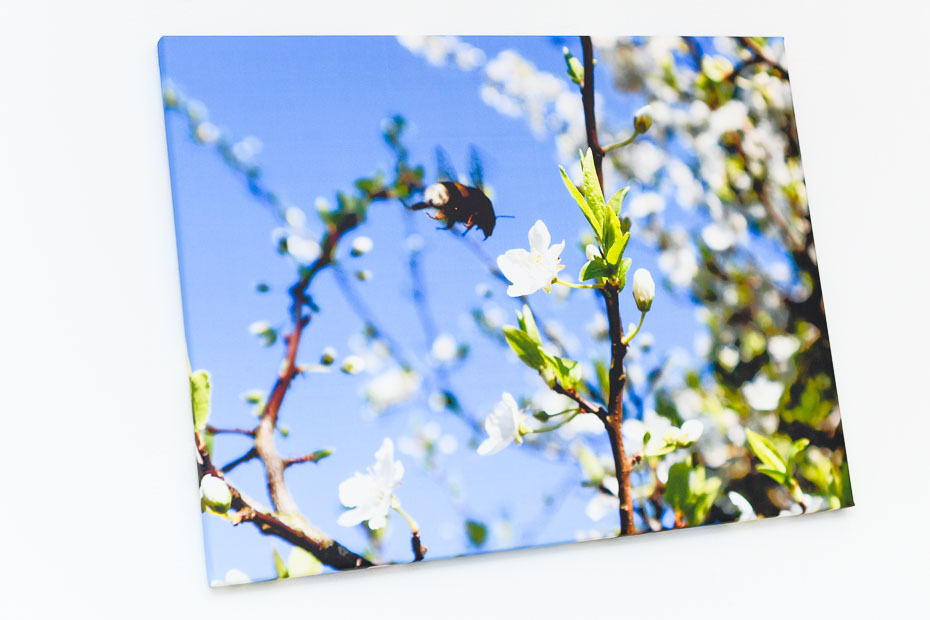Ferienwohnung „Osthörn“ - Wohnzimmer mit integriertem Küchenbereich