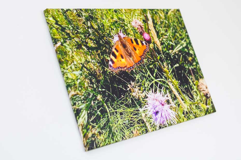 Ferienwohnung „Westhörn“ - Wohnzimmer mit integriertem Küchenbereich