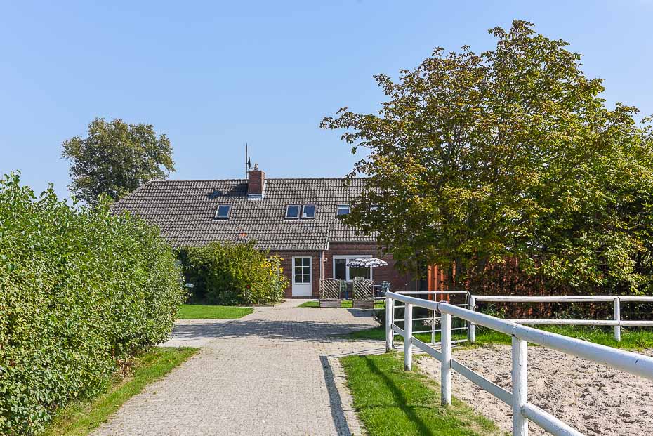 Ferienhaus „Nordsee“ (Nr. 9) - Zufahrt zum Ferienhaus