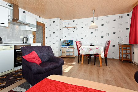 Ferienwohnung 1 - Wohnzimmer mit integriertem Küchenbereich