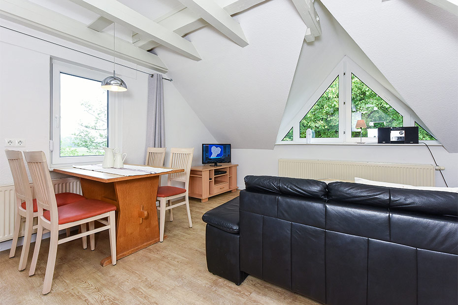 Ferienwohnung Erlenwohnung - Wohnzimmer mit integriertem Küchenbereich