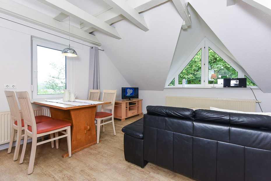 Ferienwohnung Erlenwohnung - Wohnzimmer mit integriertem Küchenbereich