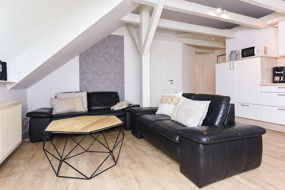 Ferienwohnung Erlenwohnung - Wohnzimmer mit integriertem Küchenbereich