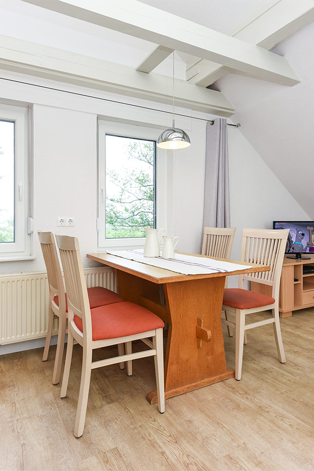 Ferienwohnung Erlenwohnung - Wohnzimmer mit integriertem Küchenbereich