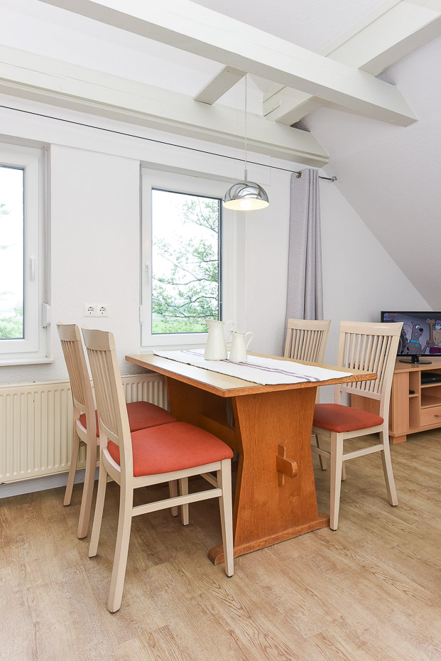 Ferienwohnung Erlenwohnung - Wohnzimmer mit integriertem Küchenbereich