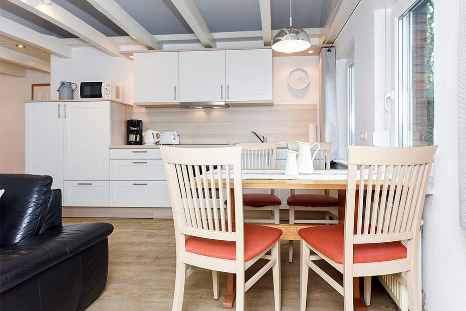 Ferienwohnung Erlenwohnung - Wohnzimmer mit integriertem Küchenbereich