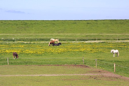 Ferienwohnung Galeriewohnung - Ein Blick aus den Fenstern der „Galeriewohnung“