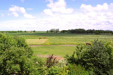 Ferienwohnung Galeriewohnung - Ein Blick aus den Fenstern der „Galeriewohnung“
