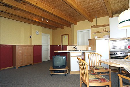 Ferienwohnung Lindenwohnung - Wohnzimmer mit integriertem Küchenbereich