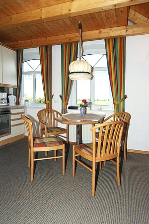 Ferienwohnung Lindenwohnung - Wohnzimmer mit integriertem Küchenbereich