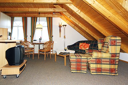 Ferienwohnung Lindenwohnung - Wohnzimmer mit integriertem Küchenbereich