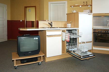 Ferienwohnung Lindenwohnung - Wohnzimmer mit integriertem Küchenbereich